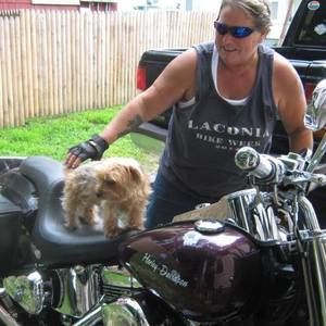 Meet your Posher, Pam